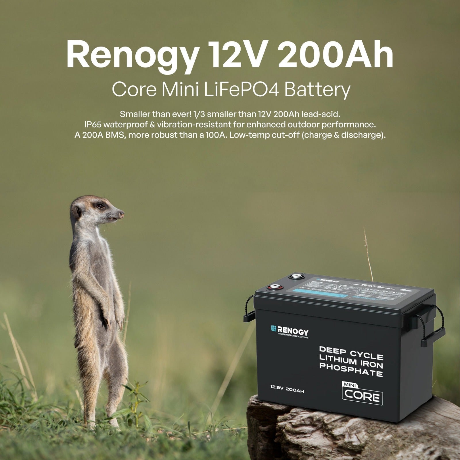 Core Mini 12V 200Ah LiFePO4 - Forge and Bearing