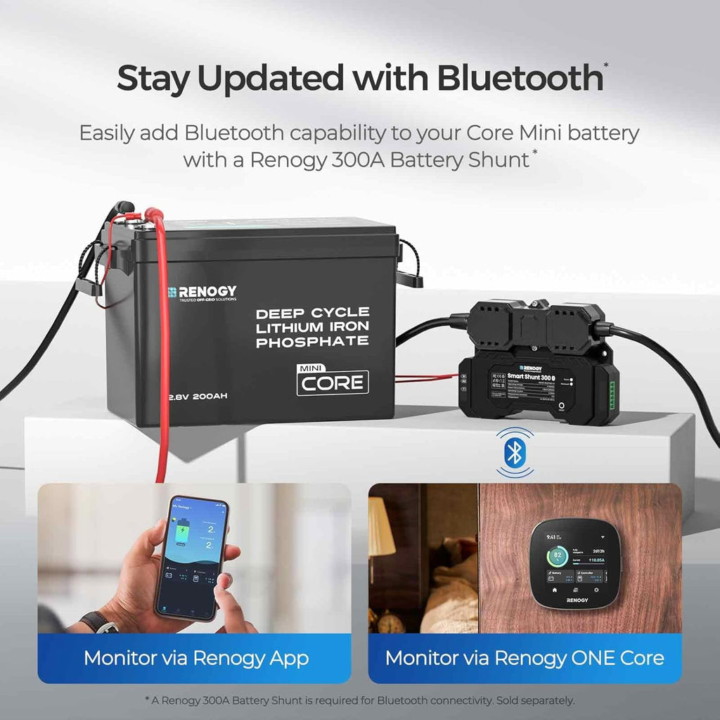 Core Mini 12V 200Ah LiFePO4 - Forge and Bearing