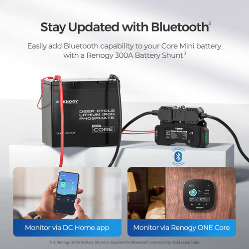 Renogy Core Mini- 12.8V 100Ah Lithium Iron Phosphate Battery - Forge and Bearing